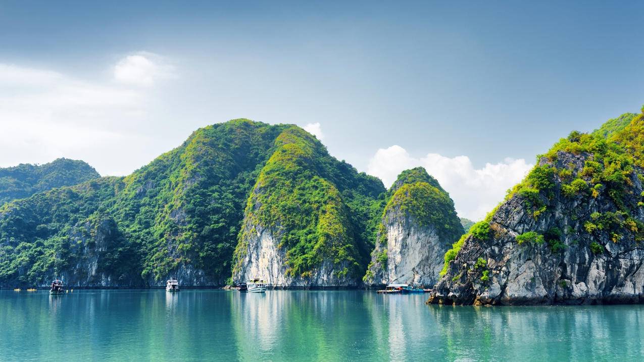 网红商城